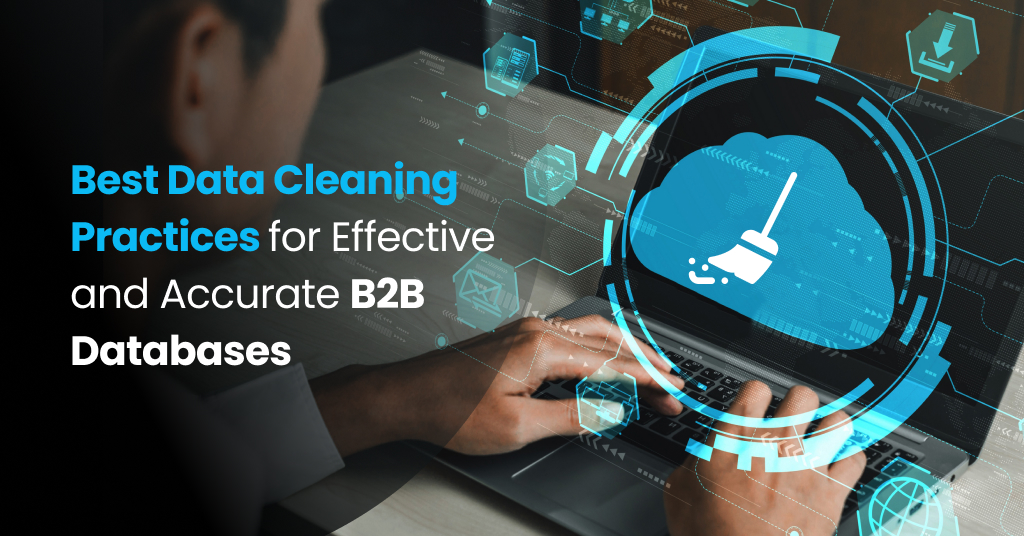 Data Cleaning Practices for B2B Databases