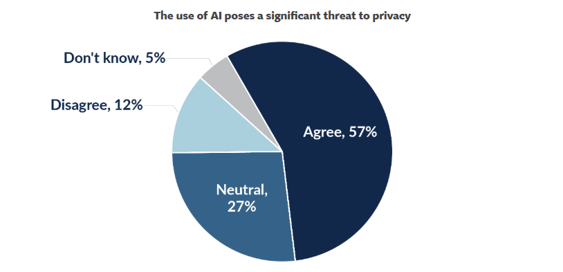 The Data Privacy Challenge in Agentic AI