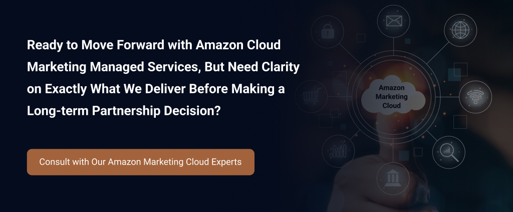 DIY Approach or Amazon Marketing Cloud Managed Services - How to Make the Right Choice?