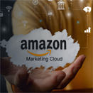 Leveraging Amazon Marketing Cloud to Build High‑Value Audience Segments