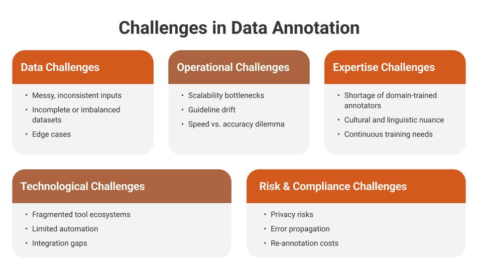 Challenges in Data Annotation
