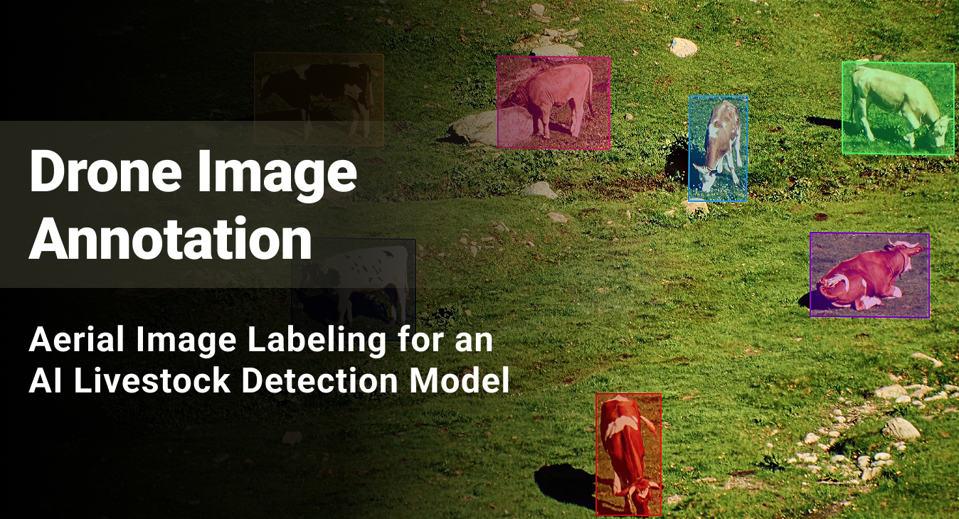 Drone Image Annotation