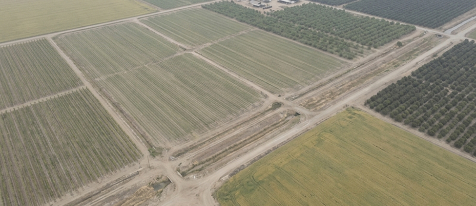 Aerial Photo Editing for Agriculture Before