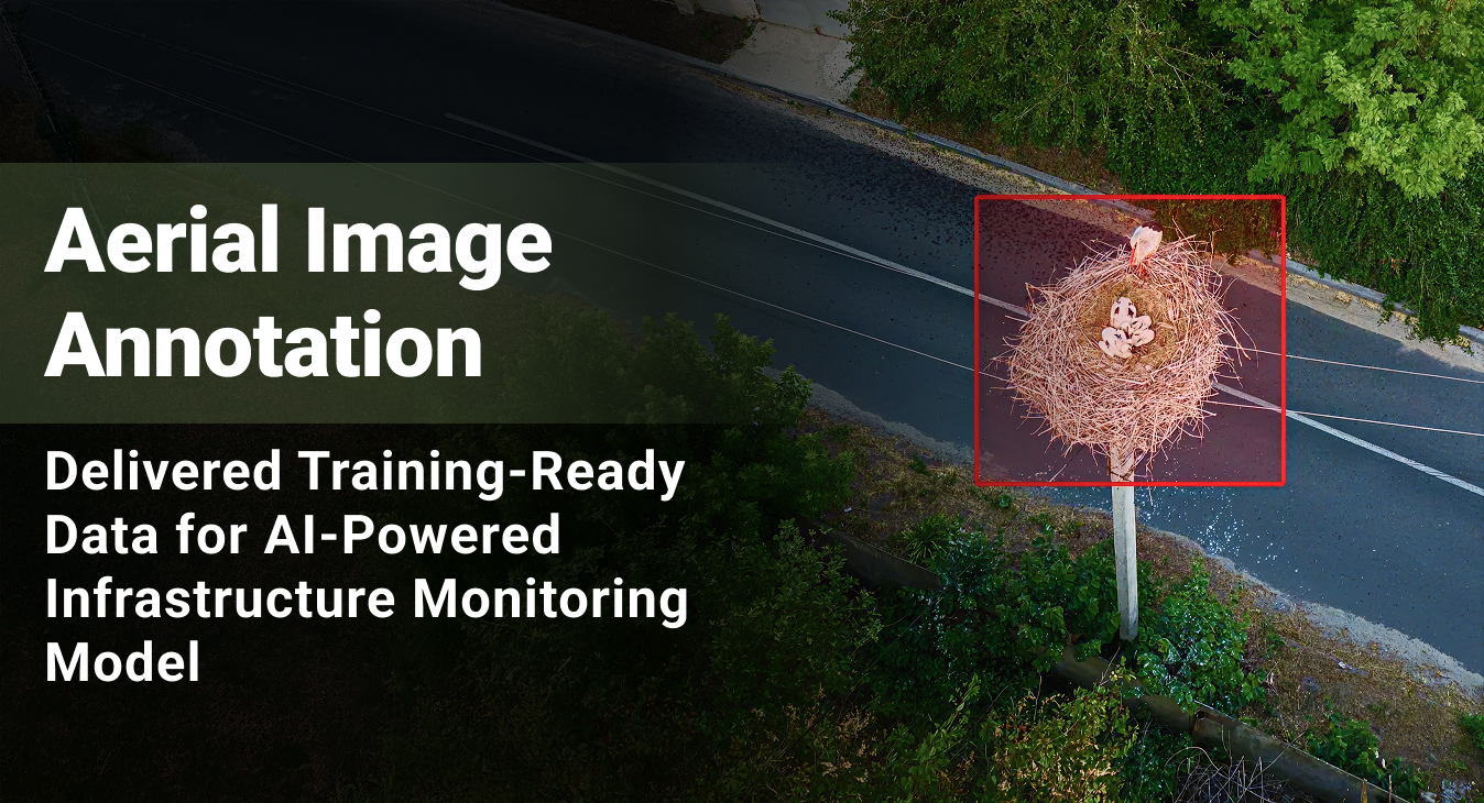 Aerial Image Annotation