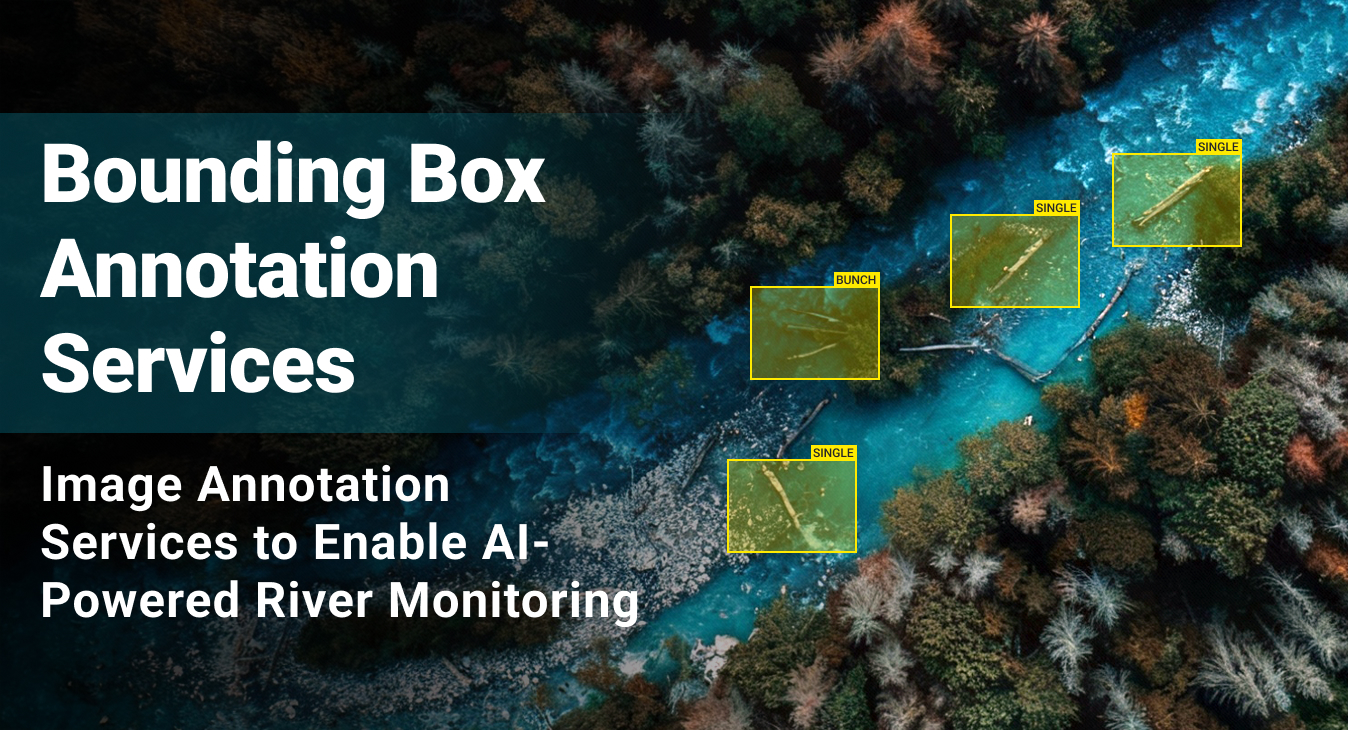 Bounding Box Annotation Services