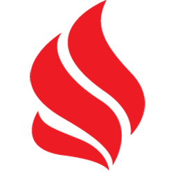 Apache Ignite Developers
