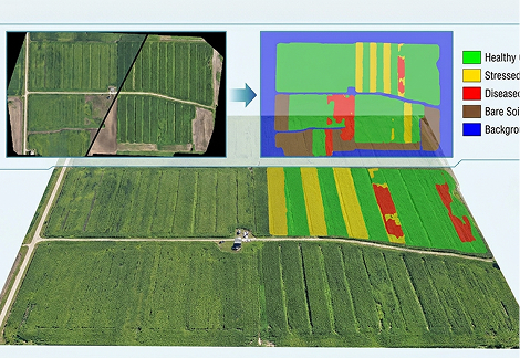 Crop Health Monitoring