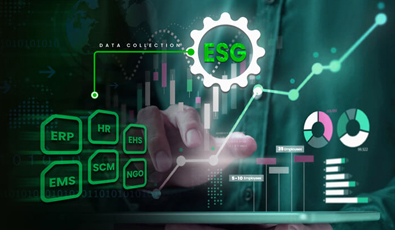 ESG & Sustainability Consulting