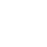 Custom WordPress Development Services 