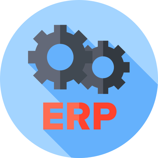 ERP Developer
