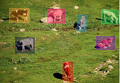 Livestock Monitoring