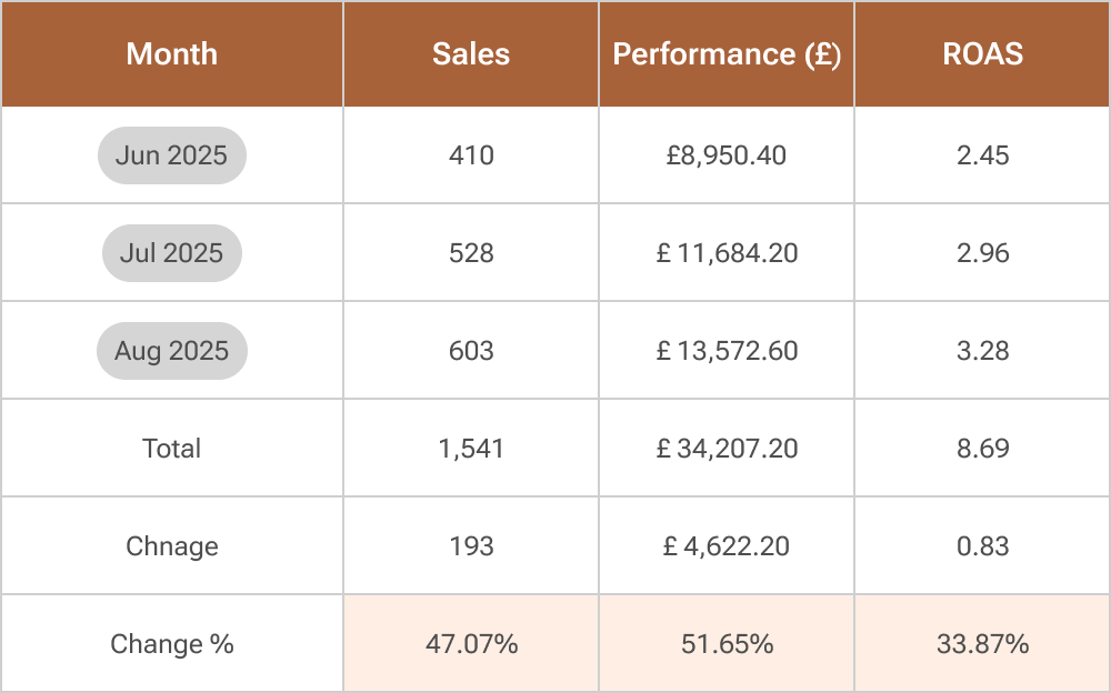 TikTok Ads Performance table